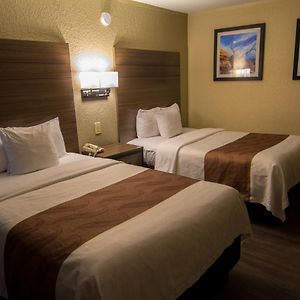 Standard Double Room Two Double Beds Non-Smoking